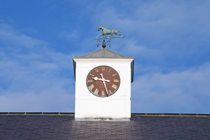 decorative weather vane