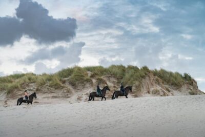 Horses in desert area being ridden