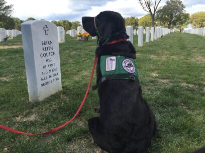 Slate at Arlington