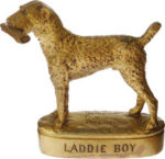 Laddie Boy