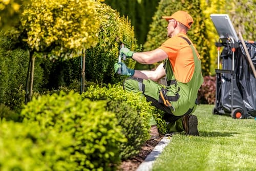 Outdoor job where people are subject to sunburn. The man is trimming bushes with a lawn mower beside him.