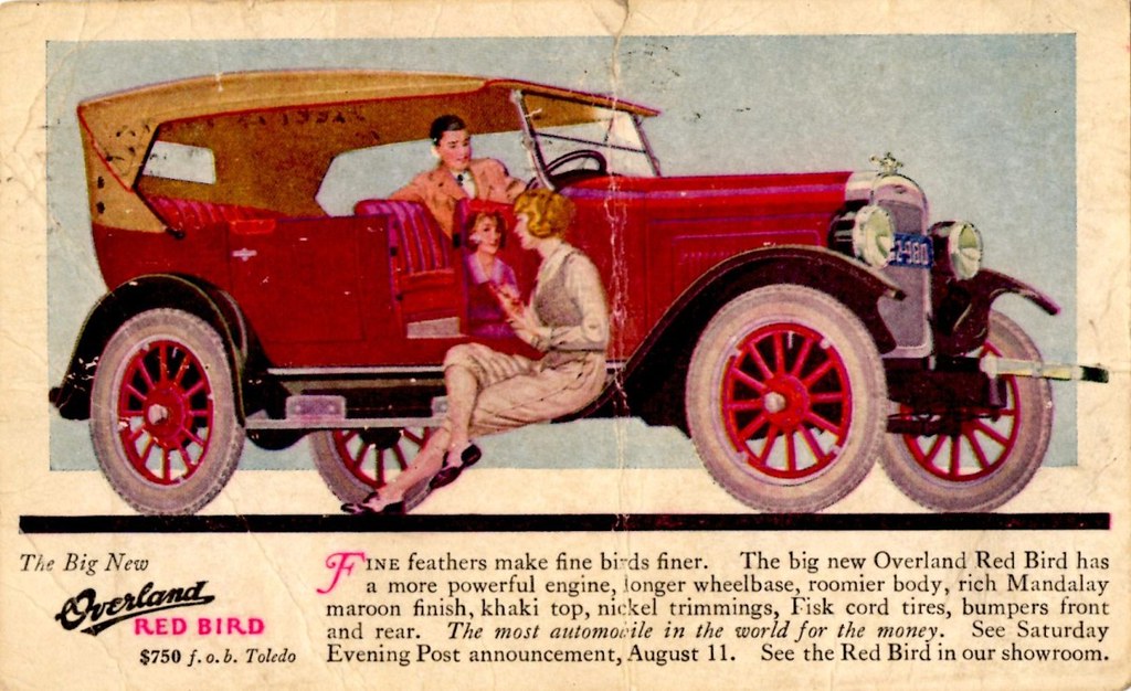 Overland red bird