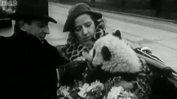 Ruth Harkness introducing the panda to a man in a suit and hat.