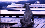 photo of Patsy by Derek Reich
