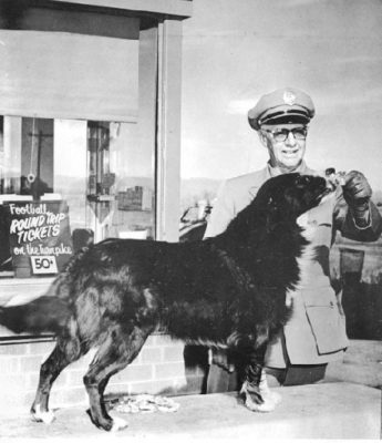 Turnpike Dog with toll taker