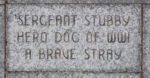 Stubby in coat made by French women