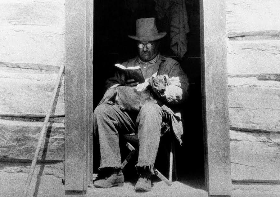 Teddy Roosevelt dog