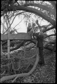 Amy Carter and tree house