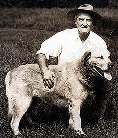 Arthur Walden kneeling with one of his Chinook dogs. He wears a hat and is petting the dog.