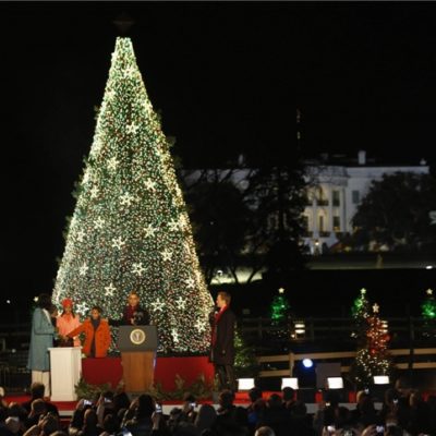 tree lighting ceremony