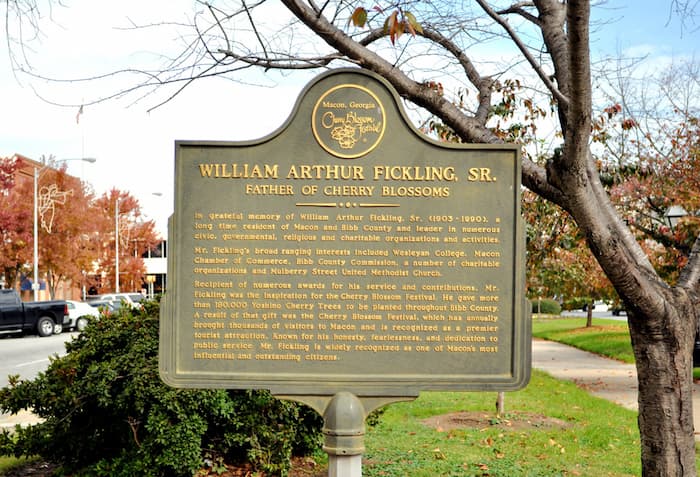 Tourism marker in Macon, Georgia, telling how William Arthur Fickling, Sr. became known as the Father of Cherry Blossoms